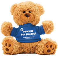 Teddy Bear